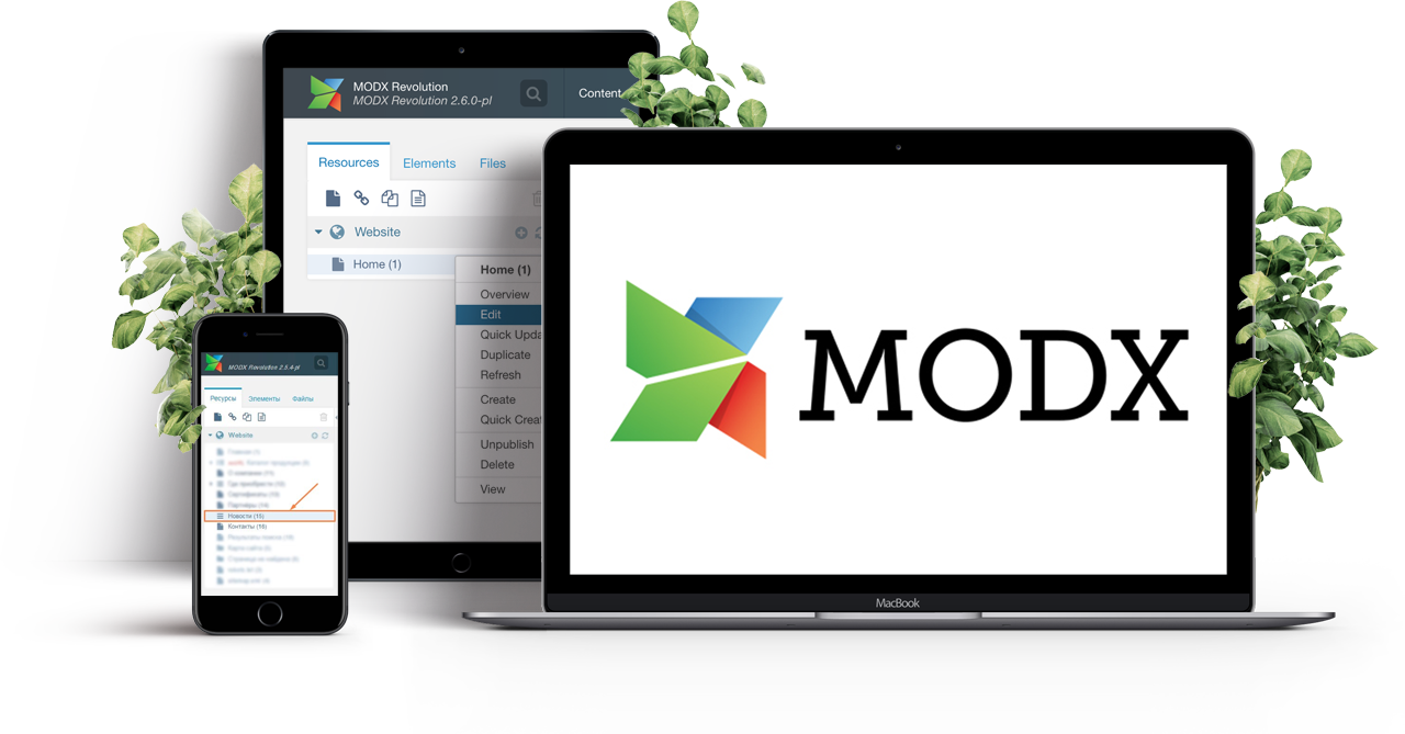 Продвижение сайта на ModX - заказать SEO-продвижение сайтов на МодИкс